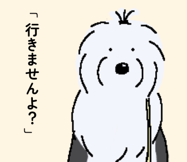 オールドイングリッシュシープドッグ 写真