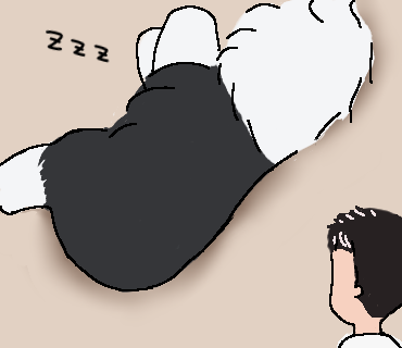 オールドイングリッシュシープドッグのイラスト