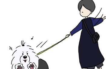 オールドイングリッシュシープドッグ イラスト