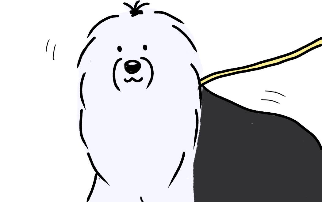 オールドイングリッシュシープドッグ　写真