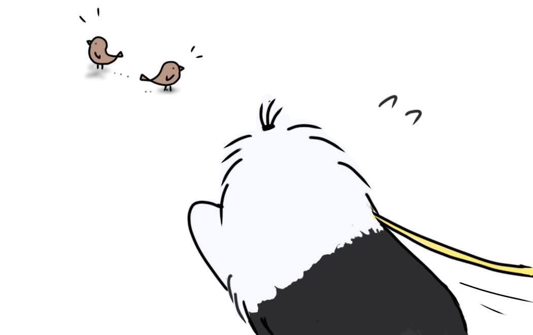 オールドイングリッシュシープドッグ　画像