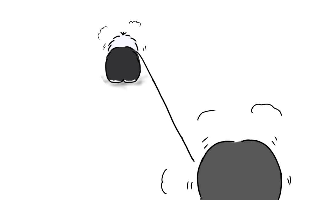 オールドイングリッシュシープドッグ　画像