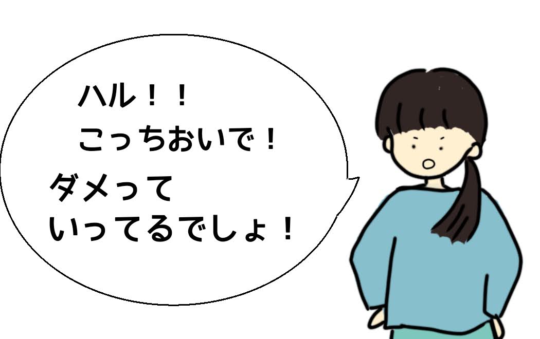 オールドイングリッシュシープドッグ　ブログ