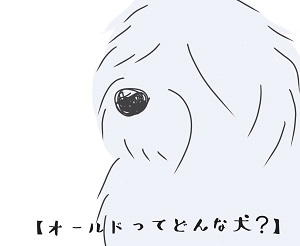 オールドイングリッシュシープドッグ イラスト