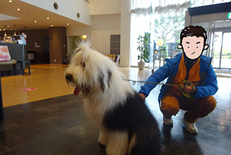 オールドイングリッシュシープドッグ グラフ