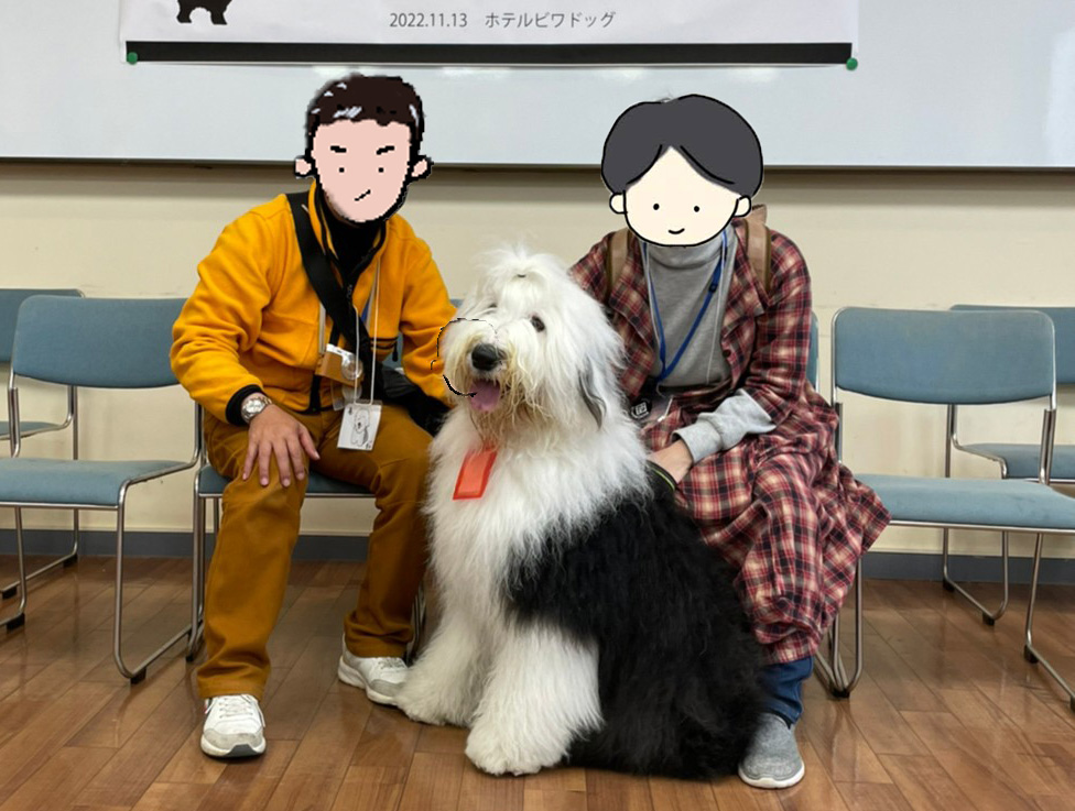 オールドイングリッシュシープドッグ グラフ