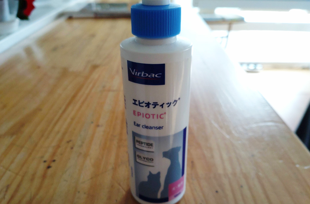 オールドイングリッシュシープドッグ　画像