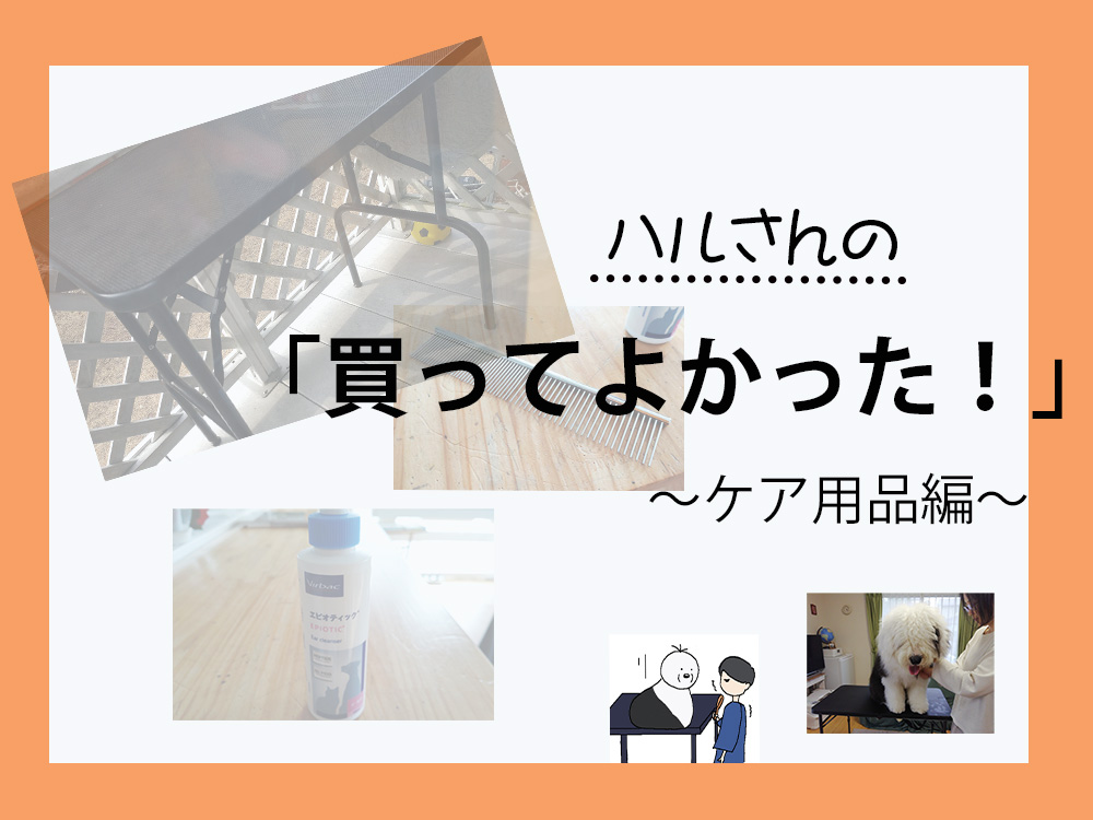 オールドイングリッシュシープドッグ　写真