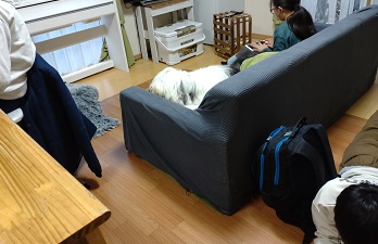 オールドイングリッシュシープドッグ　画像