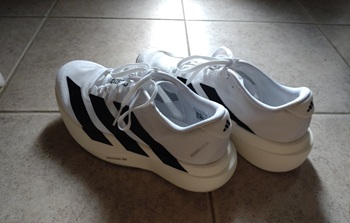 オールドイングリッシュシープドッグ　写真