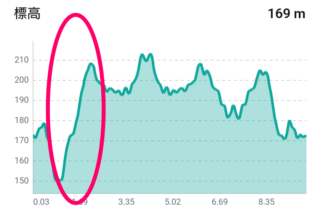 １０㎞マラソン
