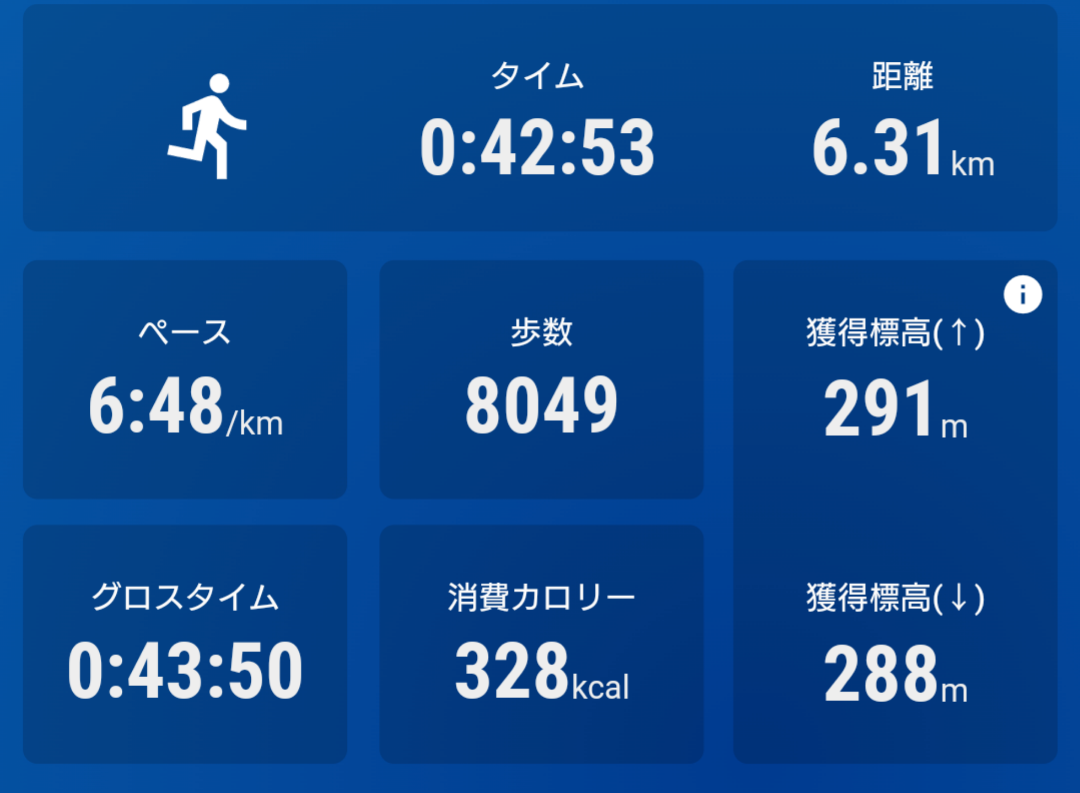 ランニング　記録